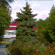 Kavkaz 
