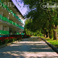 Kavkaz 