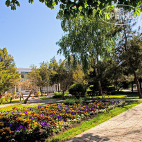 Родник 
