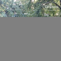 Мечта Гостевой Дом 