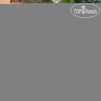 Venezia (Венеция) 