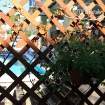 Venezia (Венеция) 