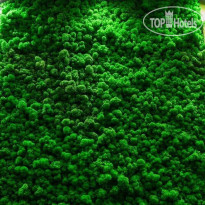 Джамайка Курорт-отель  