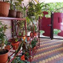 Ольга Мини-отель 