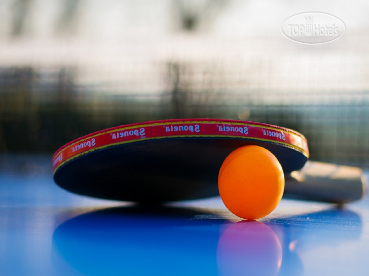 New photos from tourists NIKITIN 