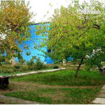 Белый Лебедь