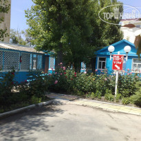 Калина Красная