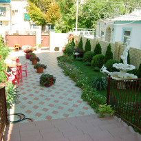 Фламинго