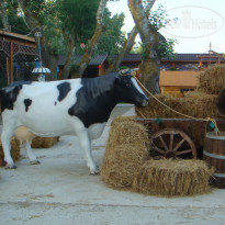 Hutorok