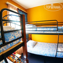 Hostel Minions