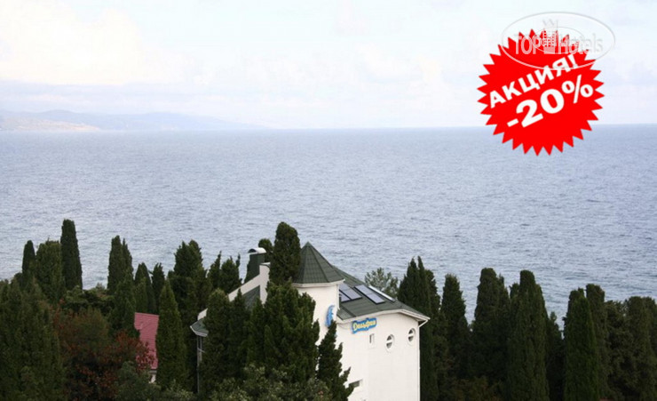 Photos Дельфин