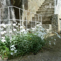 Дубовая Роща 