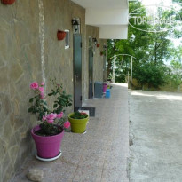 Дубовая Роща 