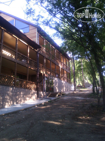 Hotelier's photos Green Wood Hotel