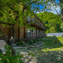 Villa Assol