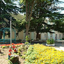 Зорька 