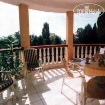 Золотой колос 