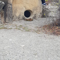 Pansion TUAPSE 