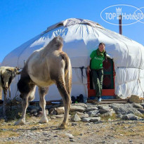 Тыдтуярык – Golden Camel