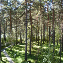 Altay Siesta 