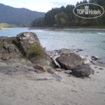 Altay Siesta 