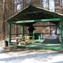 Altay Siesta 