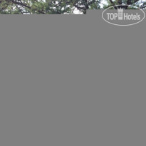 Родные Берега 