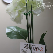 ZIMA