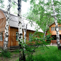 Голубые Ели