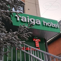 Taiga