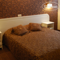 Ирбис Транзит Полулюкс +