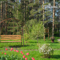 Ирбис Транзит 