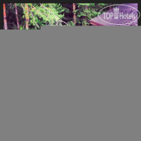 Ирбис Транзит 