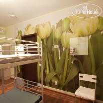 Vhostele