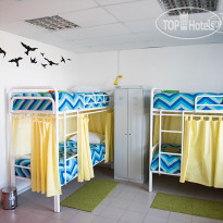 Казанский Скворечник 