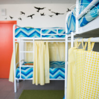 Казанский Скворечник 