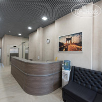 Тулпар Reception