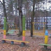 Сокол 