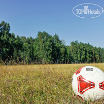 Отель-Заповедник Лесное 