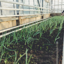 Отель-Заповедник Лесное 