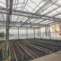 Отель-Заповедник Лесное 