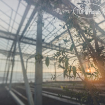 Отель-Заповедник Лесное 