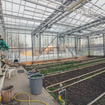 Отель-Заповедник Лесное 