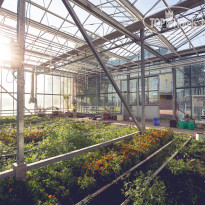 Отель-Заповедник Лесное 