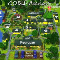 Отель-Заповедник Лесное 