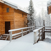 Arctic Home 