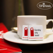Gorskiy city hotel 