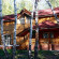 Photos Лукоморье