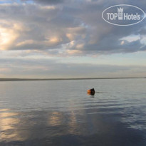 Морской Конек 