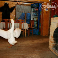 Деревня Александровка 